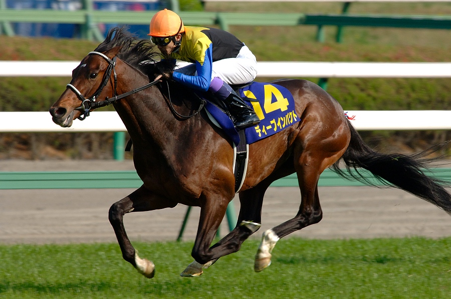 近代競馬史上最強馬❣️ディープインパクト三冠記念ジッポー❣️史上